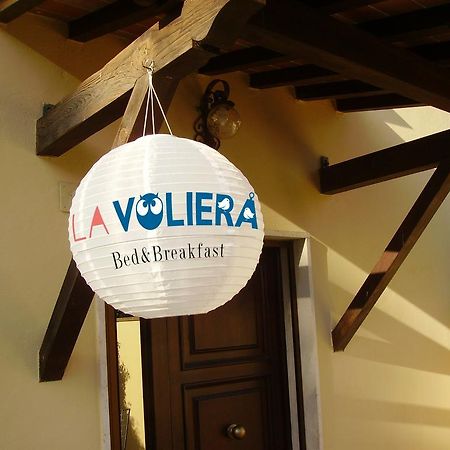 La Voliera Bed & Breakfast Pisa Eksteriør billede